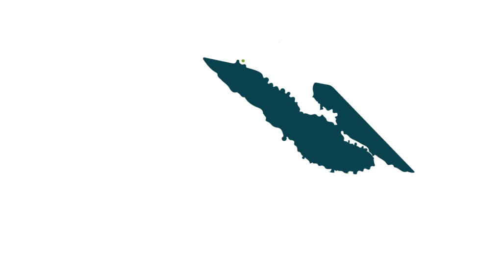 Logo SV Démoussage - Bleu et blanc